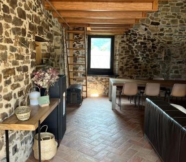 Sant Joan de Les Abadesses House | Can Sau