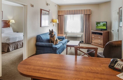 Longview Hotel | Candlewood Suites LONGVIEW, an IHG Hotel