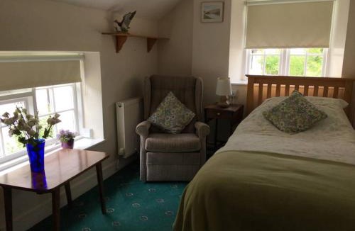 Lanwrin Hotel | Canol y Llan