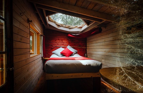 Sacre Coeur House | Canopee Lit