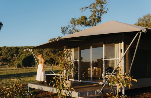 Seppeltsfield Cabin | CANVS by CABN Seppeltsfield Barossa