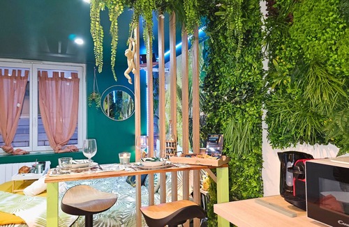 Limoux Apartment | Cap Jungle*Cinéma Immersif with video projector