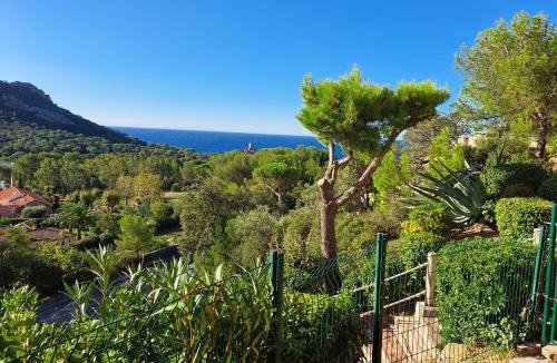 Le Dramont Apartment | Cap sur l'Ile d'Or