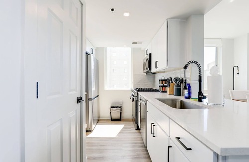 Crystal City Apartment | Capitol Convenience 2BR Luxury, Minutes from DC