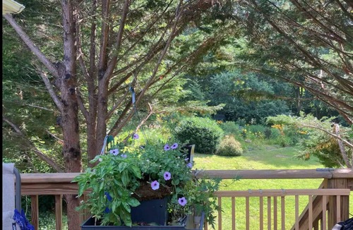 West Brewster Cottage | Captain's Quarter Cottage