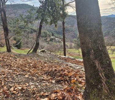 Saint-Germain-de-Calberte Other | Caravane dans les Cévennes