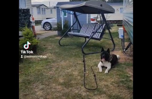 Felixstowe House | Caravan House