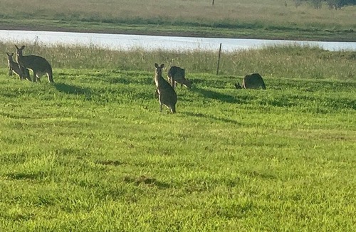 Kia Ora House | Caravan in Peaceful Park
