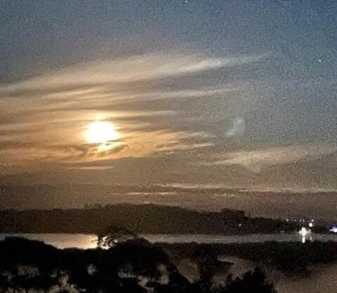 Mangonui House | Caravan In The Orchard