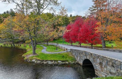 Blowing Rock Apartment | Cardinal 104