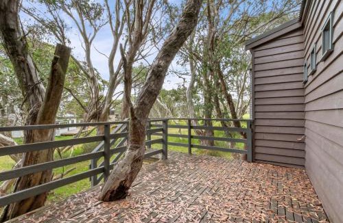 Dinner Plain House | Caribou