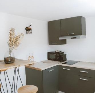 Saint-Laurent-d'Aigouze Apartment | Carignan - Gîtes Du Mas Des Jeux