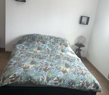 Chevigny-Saint-Sauveur Apartment | Carol California