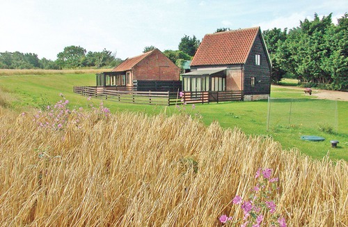 Wenhaston Cottage | Carol's Cottage - E3043