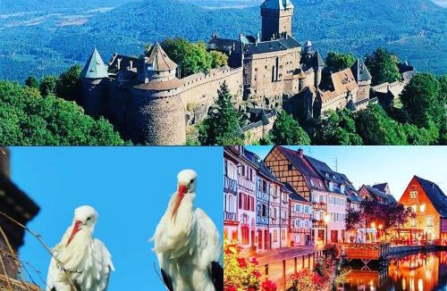 Selestat House | Carpe Diem Bed & Breakfast