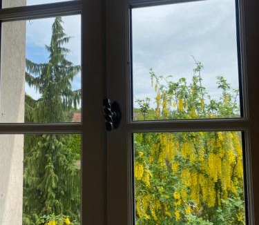 Massangis House | Carpe diem