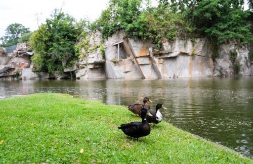 Conde-sur-Sarthe House | Carrière de la Tour