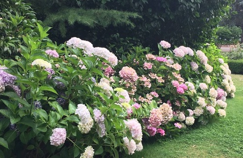 Crafers Apartment | Carriage House 1884 S