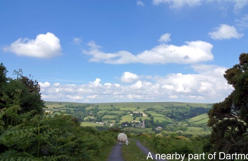 Tavistock Cottage | Cartref, TAVISTOCK