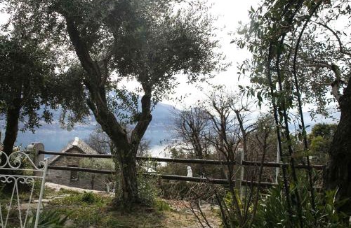 Brione sopra Minusio Apartment | Casa Alma Grotto