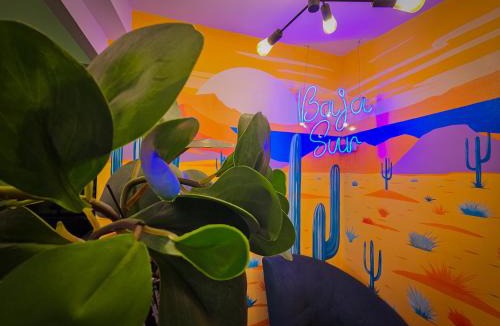 La Paz House | Casa Arbol