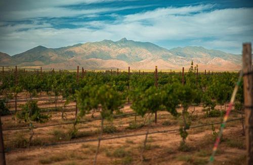 Willcox House | Casa Barbera at Tirrito Farm