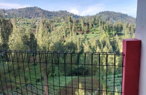 Tosari House | Casa Bromo Homestay