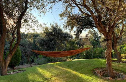 San Sebastian de los Reyes Bed & Breakfast | Casa Caliche