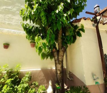 Torquemada House | Casa Caete