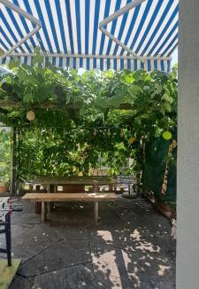 Pianezzo Apartment | Casa con giardino in centro