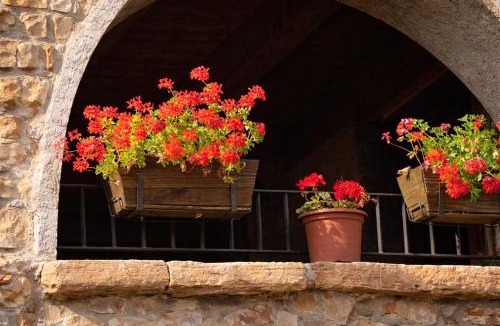 La Baronia de Rialb House | Casa con piscina y vistas a montaña - Cal Solsona