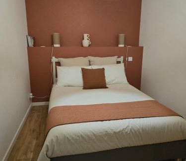 Salies-de-Bearn Apartment | Casa cosy Lanabat