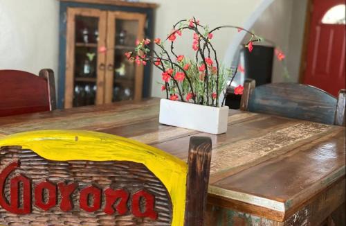 Alpine House | Casa de Amigos