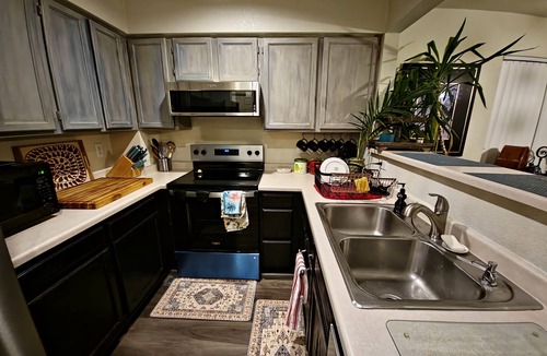Westminster House | Casa de gato