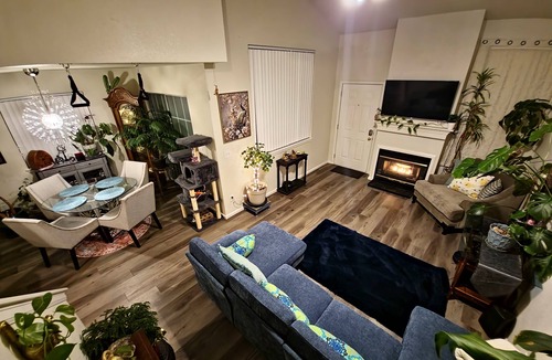 Westminster House | Casa de gato