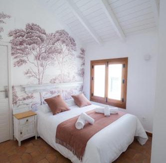 Campo de Criptana Hotel | Casa de la Torrecilla