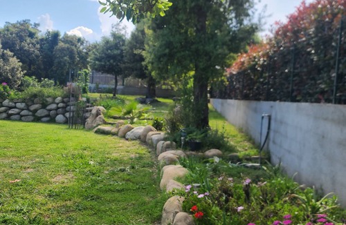 Ventiseri House | Casa DI L Alivettu