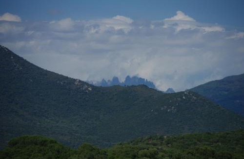 Sartene Apartment | Casa Erbaggio