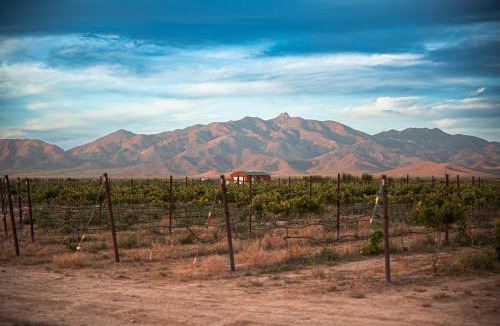 Willcox House | Casa Grande