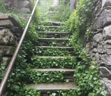 Brione sopra Minusio Apartment | Casa Grillino