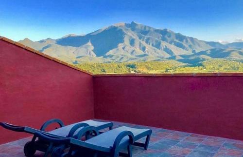 Eus House | Casa ilicia