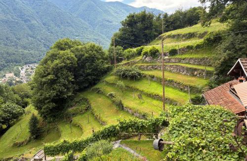 Roveredo Apartment | Casa immersa nel vigneto