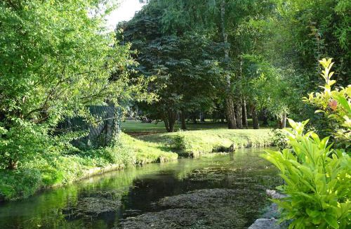 Duvy House | Casa Juno