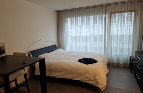 Central Interlaken Apartment | Casa Koraal Interlaken