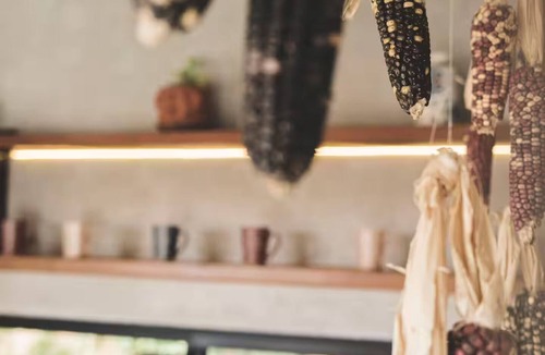 Todos Santos House | Casa Kukuti