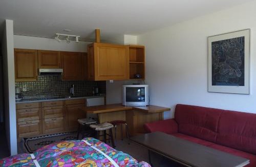 Sedrun Apartment | Casa La Foppa 28