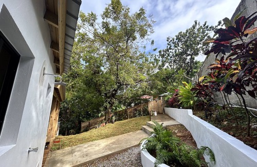 Abreu House | Casa Latte