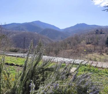 Serralongue Bed & Breakfast | Casa Louisa