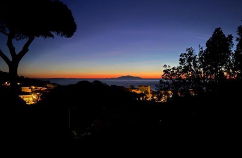 Erbalunga Apartment | Casa Luciani