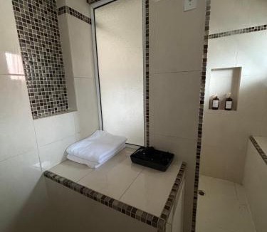 Zona Centro Apartment | Casa Macfarland Boutique